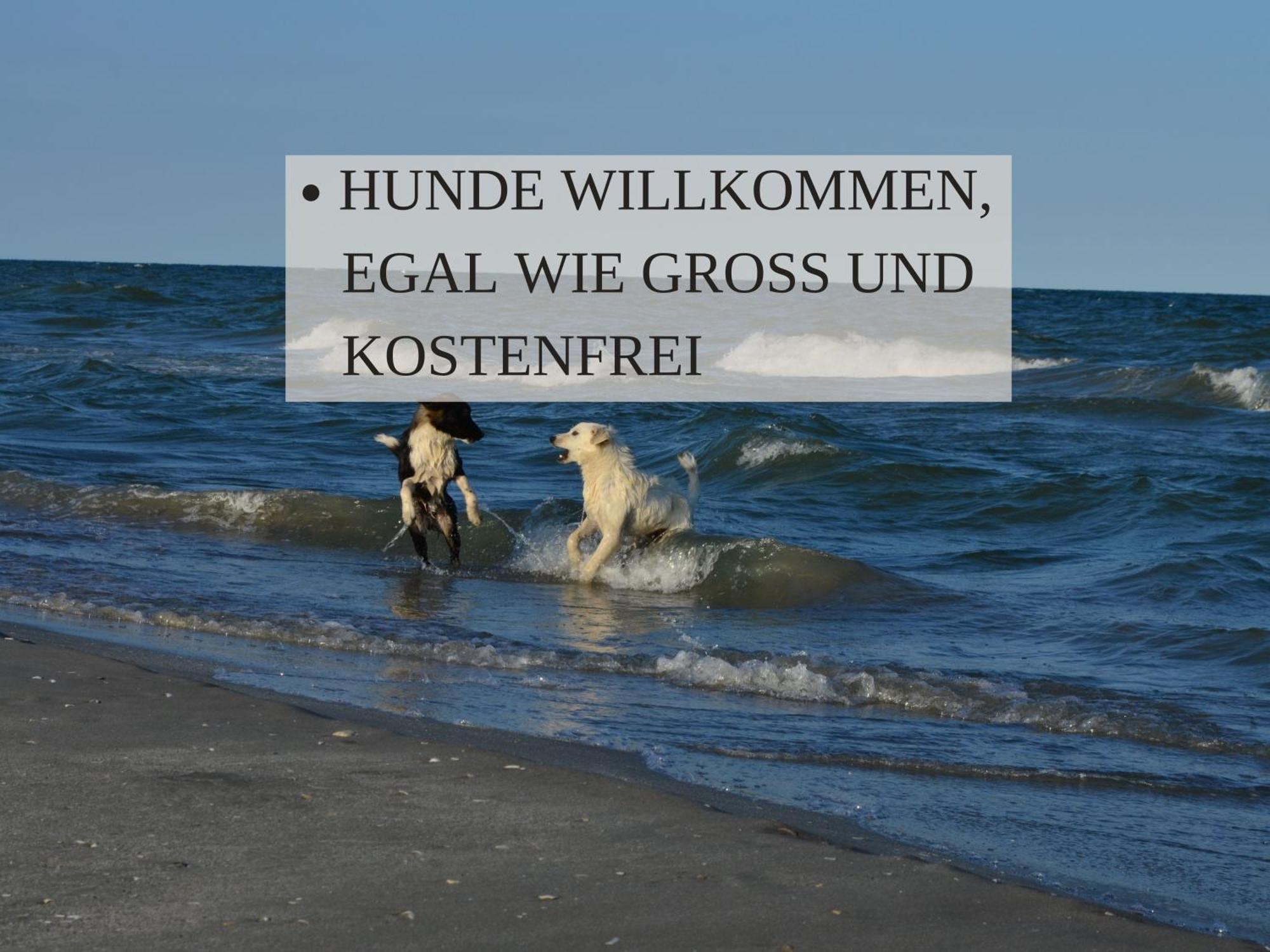 Haus Krabbe Apartments Mit Doppelbetten, Fuer 1-2 Personen, Hunde Kostenfrei Willkommen, Kostenfreier Parkplatz, Zwischen Bremerhaven Und Cuxhaven Gelegen Wremen Eksteriør bilde